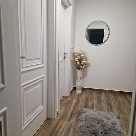 Stan Na Dan Jelica Stanivukovic Šid