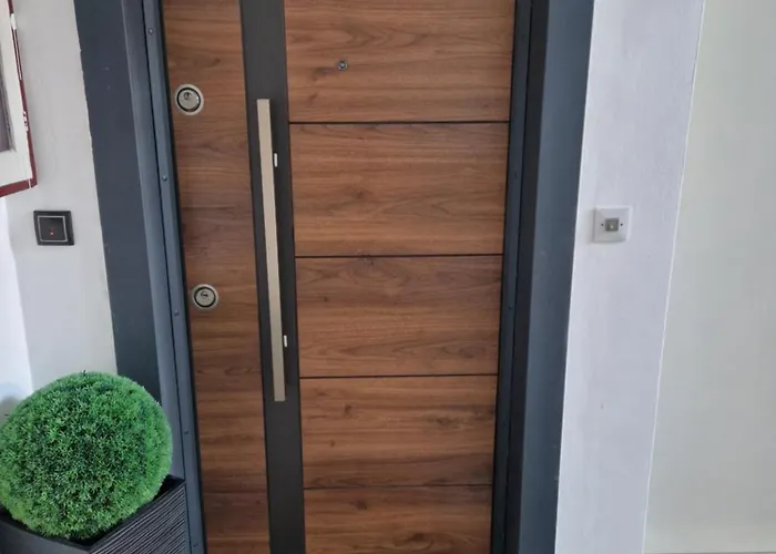 Stan Na Dan Jelica Stanivukovic Šid