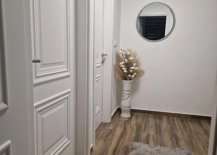 Stan Na Dan Jelica Stanivukovic Šid