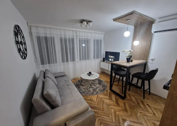 Stan Na Dan Jelica Stanivukovic Šid